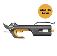 Elektrische Gartenschere mit kostenloser Batterie