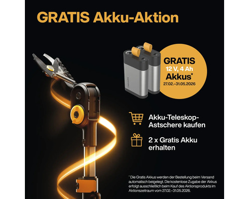 Aktionsangebot: Akku-Teleskop-Astschere mit zwei kostenlosen Akkus
