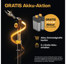 Aktionsangebot: Akku-Schneidgiraffe mit zwei gratis Akkus