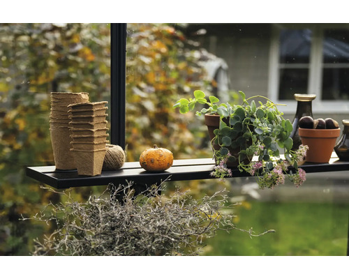 Klappbares Lamellenregal Juliana 3 Sektionen 212 x 22 cm schwarz Dekorative Szene mit Pflanztöpfen, Kürbis und Pflanzen auf einem Regal.