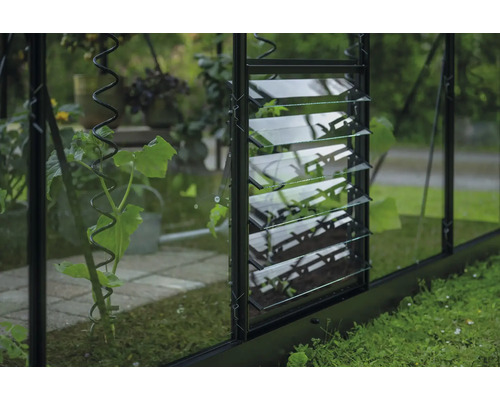 Lamellenlüfter Set Halls Qube Square/Lean-to schwarz Detailansicht eines Gewächshauses mit Lamellenfenster zur Belüftung