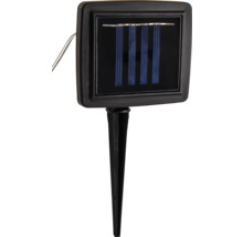 Solarpanel mit Erdspieß für Gartenbeleuchtung aus Kunststoff.