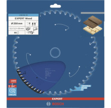 Bosch Expert Holzsägeblatt mit 250 Millimeter Durchmesser