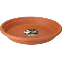 Pflanzenuntersetzer aus Kunststoff