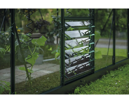 Detailansicht eines Gewächshauses mit Lamellenfenster und Pflanzenstütze