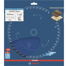 Bosch Expert Holzsägeblatt mit 250 Millimeter Durchmesser