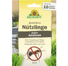 Neudorff Nützlinge gegen Ameisen Bestell-Karte