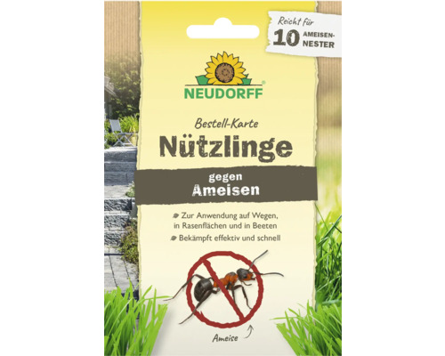 Neudorff Nützlinge gegen Ameisen Bestell-Karte