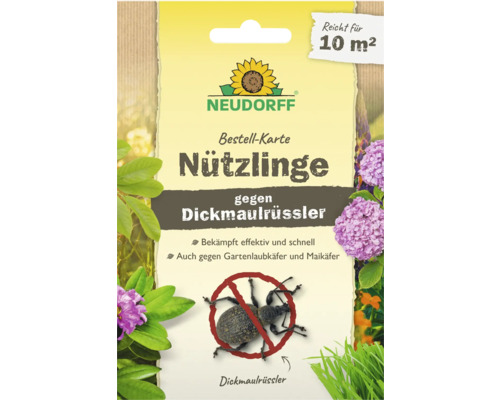 Neudorff Nützlinge gegen Dickmaulrüssler Bestell-Karte für 10 Quadratmeter