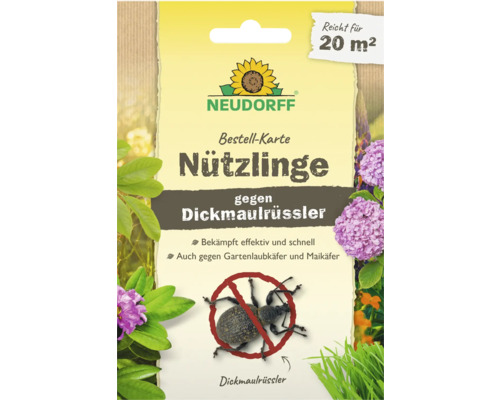 Neudorff Nützlinge gegen Dickmaulrüssler Bestell-Karte für 20 Quadratmeter