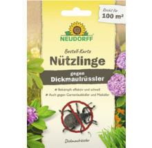 Neudorff card for controlling pests, specifically weevils