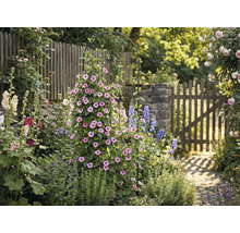 Gartenszene mit Pflanzenstütze, Blumen und Gartenweg