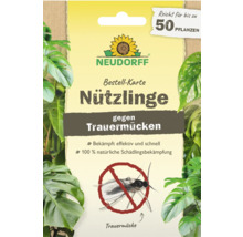 Neudorff beneficial insects card against sciarid flies, sufficient for up to 50 plants