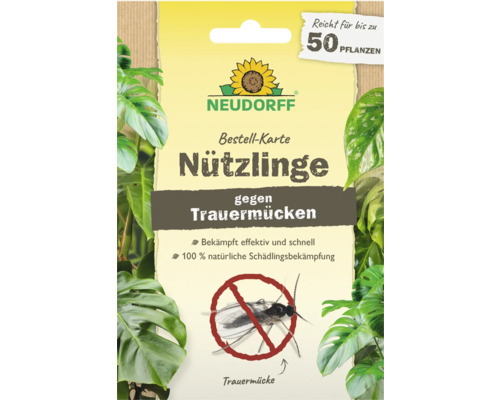 Neudorff beneficial insects card against sciarid flies, sufficient for up to 50 plants
