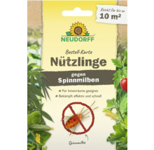 Neudorff beneficial insects against spider mites order card