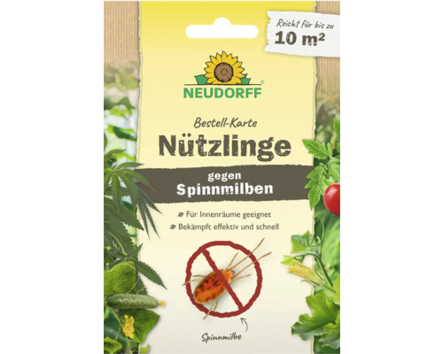 Neudorff beneficial insects against spider mites order card