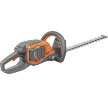 Akkubetriebene Heckenschere