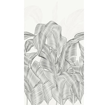 Illustration von Bananenblättern als Wanddekoration