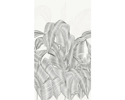 Illustration von Bananenblättern als Wanddekoration