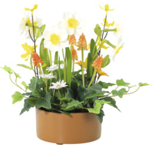 Blumenarrangement mit Narzissen, Traubenhyazinthen und Gänseblümchen in einem Topf