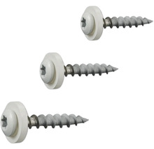 Drei Fassadenschrauben mit Torx-Antrieb und weißer Dichtscheibe.