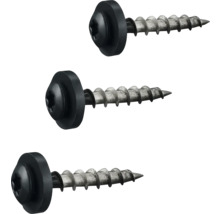 Drei Metallschrauben mit schwarzem Kopf und schwarzer Unterlegscheibe.