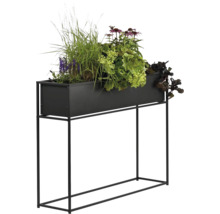 Hochbeet mit verschiedenen Pflanzen