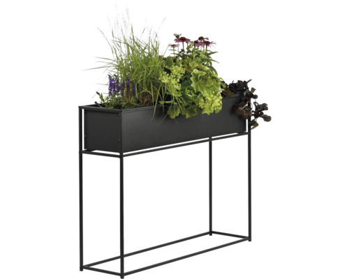 Hochbeet mit verschiedenen Pflanzen