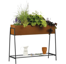 Hochbeet mit Pflanzen, Gießkanne und Pflanzzubehör auf einem Ablageregal