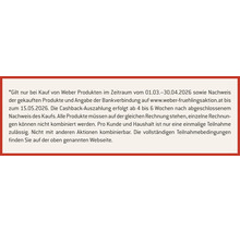 Teilnahmebedingungen für die Weber Cashback Frühlingsaktion zweitausendsechsundzwanzig.