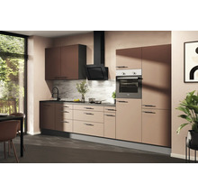 Moderne Küche mit Einbaubackofen, Dunstabzugshaube, Spüle und Arbeitsplatte