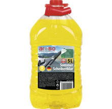 Sommer Scheibenreiniger im 5 Liter Kanister, gebrauchsfertig