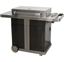 Grillwagen mit Edelstahlhaube und Bedienfeld