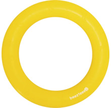 Gelber Beestees Hundefrisbee