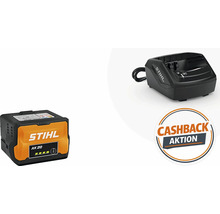 Stihl AK 20 Akku mit Ladegerät