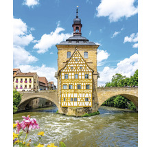 Fototapete des Alten Rathauses in Bamberg auf einer Steinbrücke über der Regnitz, historisches Fachwerkhaus in einer hellen Flusslandschaft.