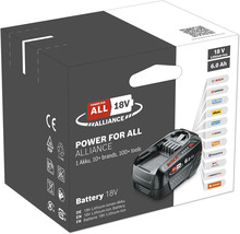 Power for All Alliance 18 Volt Akku im Karton