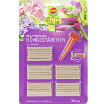 Packung Compo Dünge Stäbchen für Blühpflanzen mit Guano