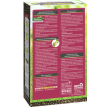 COMPO SAAT Nachsaat-Rasen Packung mit Informationen zu Produkteigenschaften und Anwendung