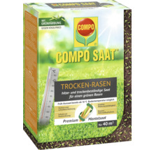 Compo Saat Trockenrasen-Saatgutpackung für 40 Quadratmeter