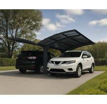 Doppelcarport mit zwei parkenden Autos