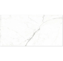 Feinsteinzeugfliese in Marmoroptik mit grauer Maserung für Wand und Boden.