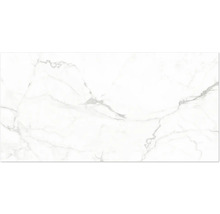 Feinsteinzeugfliese in Marmoroptik mit grauer Maserung.