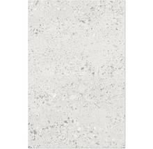 Bodenfliese oder Wandfliese mit Terrazzo-Optik und feinen Steineinschlüssen.