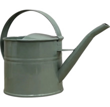 Graue Gießkanne aus Metall mit Tragegriff und langem Ausguss.