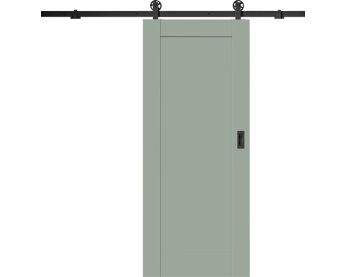 Grüne Schiebetür mit schwarzem Laufschienensystem und Griffmuschel.