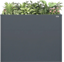 Weka Hochbeet aus Metall in Anthrazit, bepflanzt mit verschiedenen Grünpflanzen und rosa Blüten.