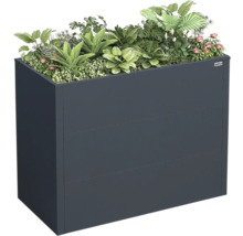 Anthrazitfarbenes Hochbeet aus Metall, bepflanzt mit verschiedenen grünen Pflanzen und Blumen, Weka Logo.