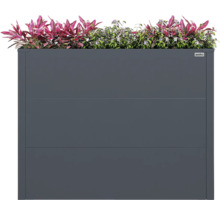 Weka Hochbeet aus anthrazitfarbenen Metallpaneelen, rechteckig, bepflanzt mit Zierpflanzen. Weka Logo.
