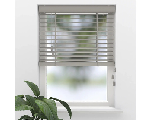 Jalousie mit horizontalen Lamellen an einem Fenster montiert, inklusive Zugschnüren und Zimmerpflanze im Vordergrund.